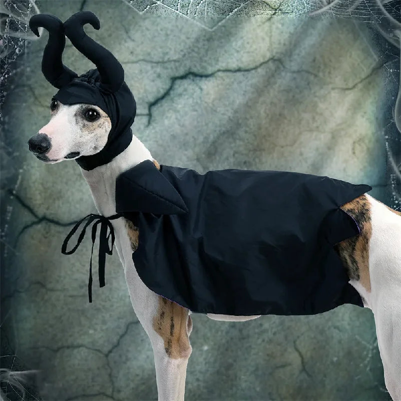 The Raven Halloween Cape & Hat – Black & Purple