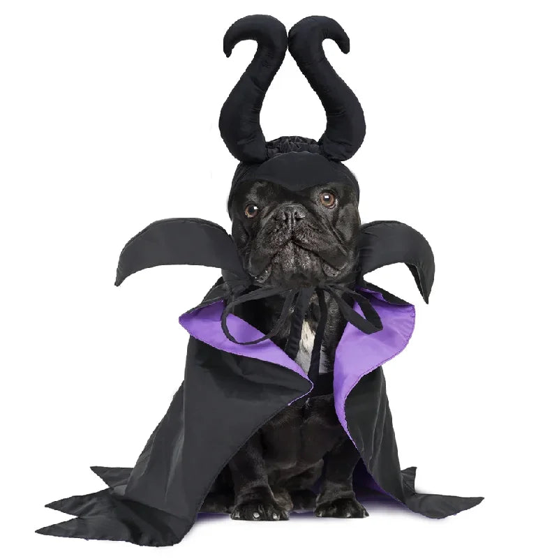 The Raven Halloween Cape & Hat – Black & Purple