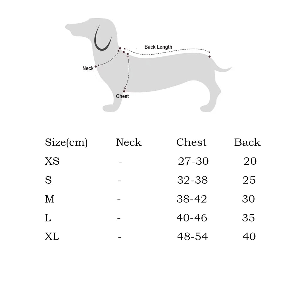 The Pumpkin Patch Sweater – Warm Halloween Jumper for Small Dogs