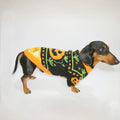 The Pumpkin Patch Sweater – Warm Halloween Jumper for Small Dogs