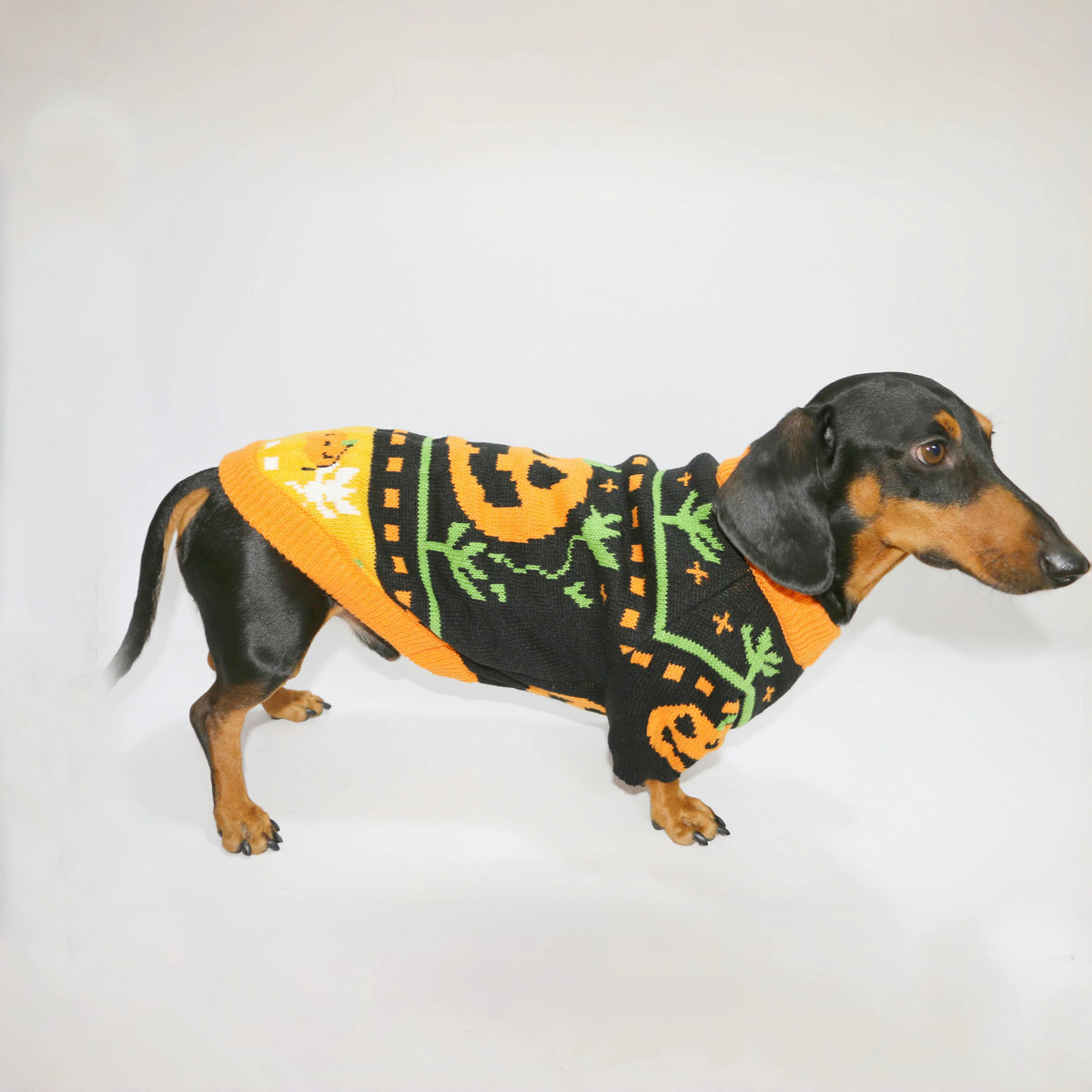 The Pumpkin Patch Sweater – Warm Halloween Jumper for Small Dogs