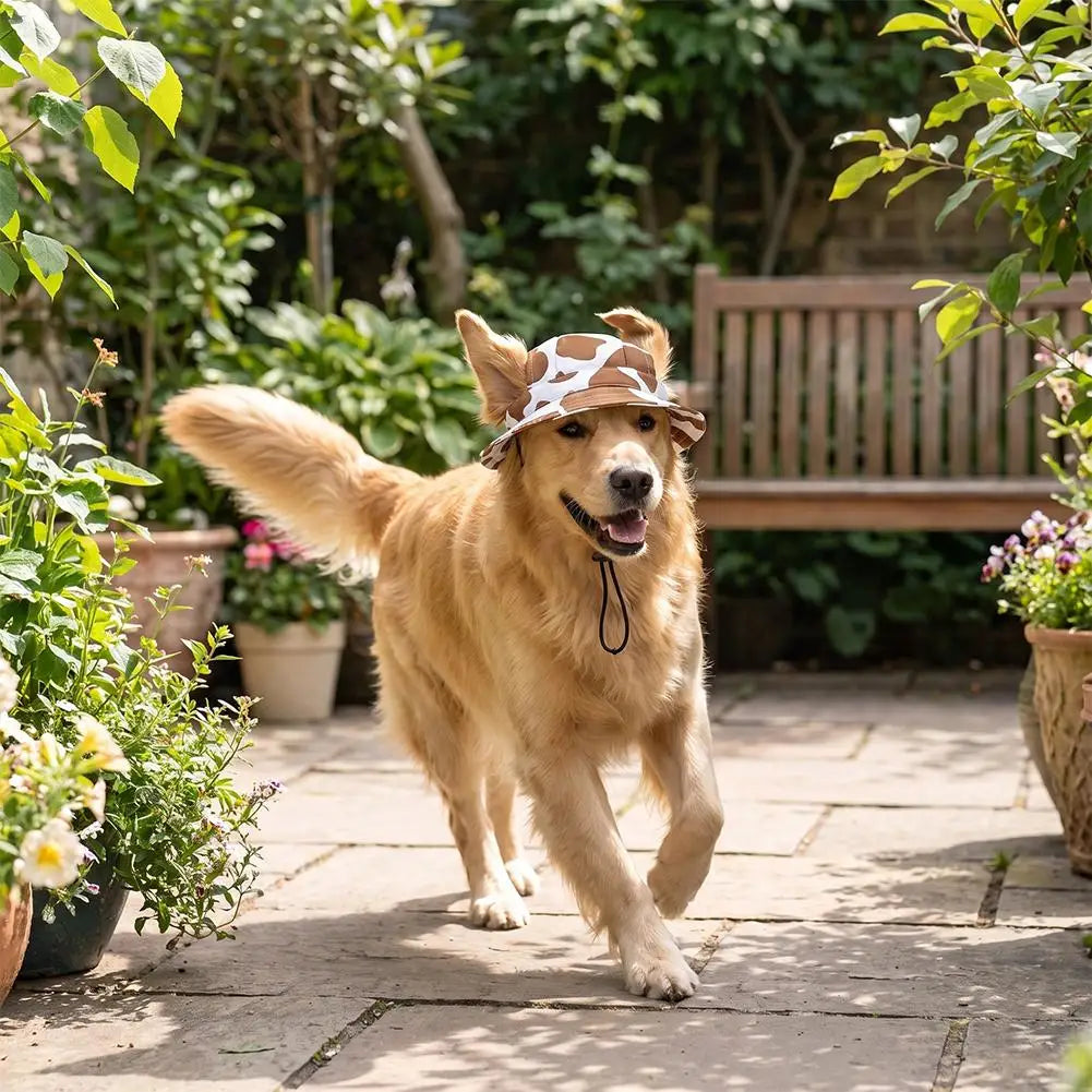 The Kensington Print Cap – Adjustable