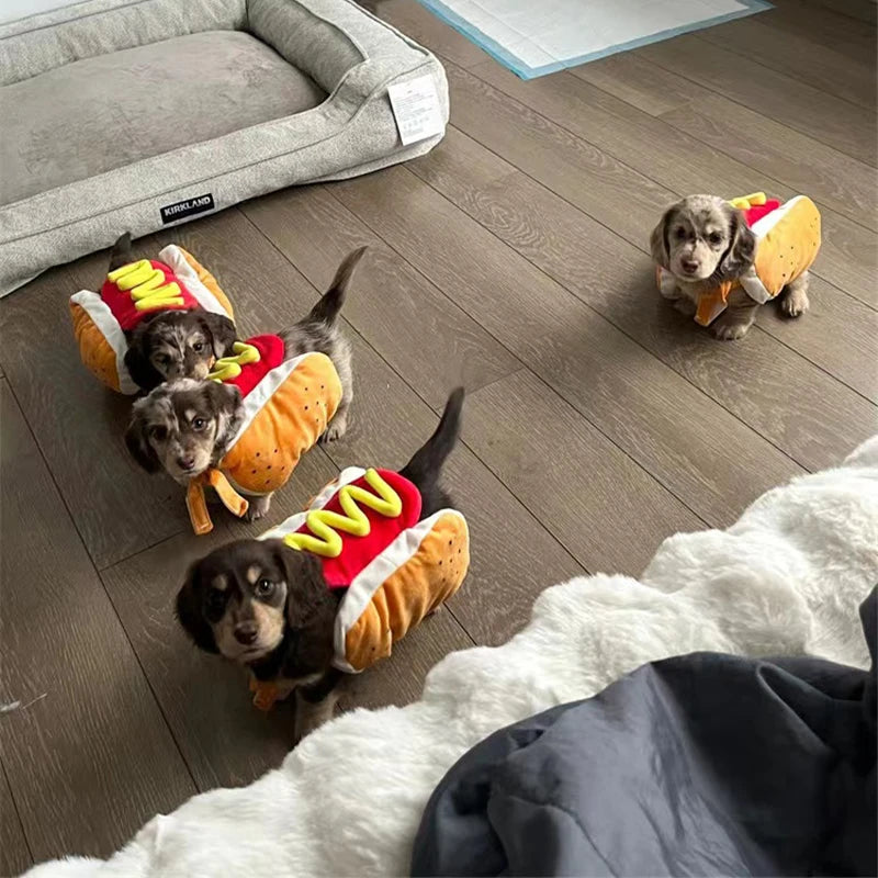 The Hot Dog Costume – Funny Halloween Outfit for Dachshunds