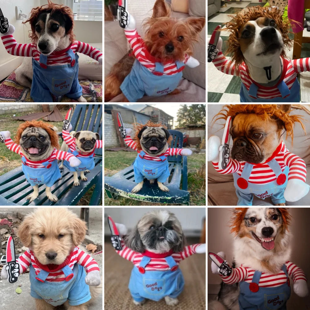 The Halloween Dog Pullover – Funny Dress-Up Costume
