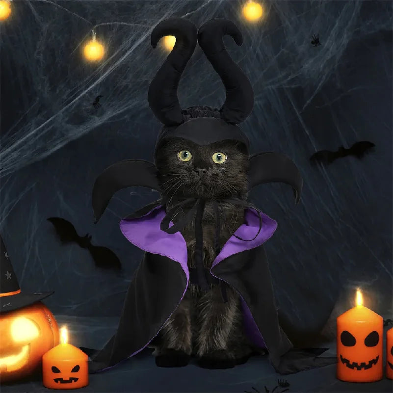 The Raven Halloween Cape & Hat – Black & Purple