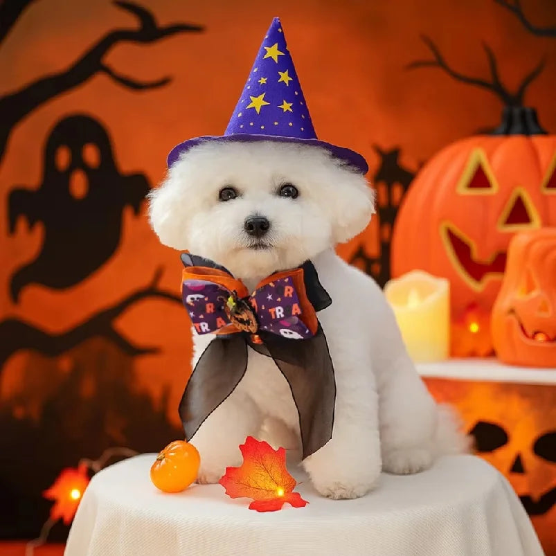The Halloween Bow Tie – Adjustable Collar Bow with Bell