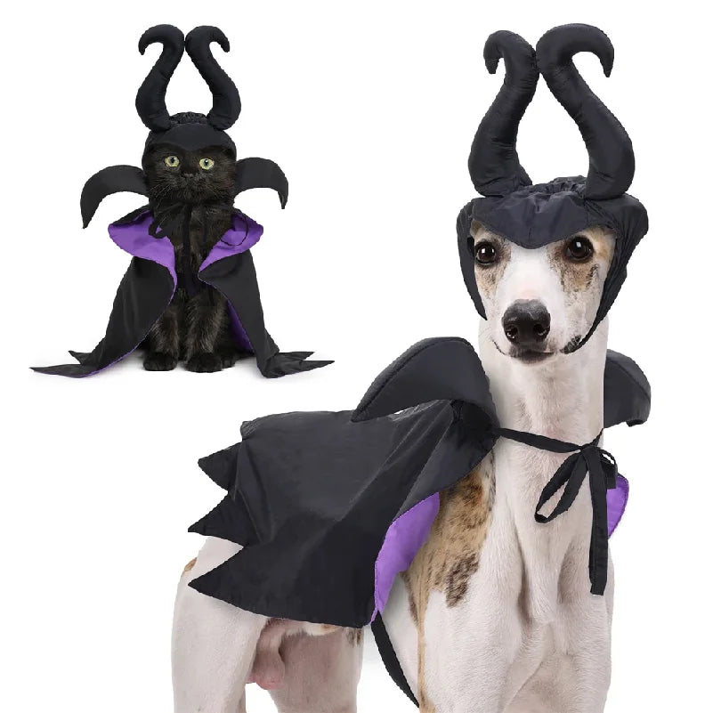 The Raven Halloween Cape & Hat – Black & Purple