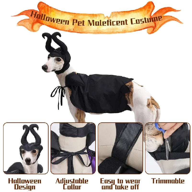 The Raven Halloween Cape & Hat – Black & Purple