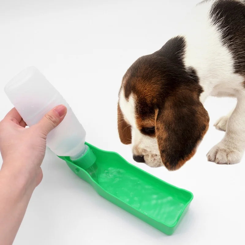 The Pocket Water Bottle – Foldable Dog Drinking Bottle