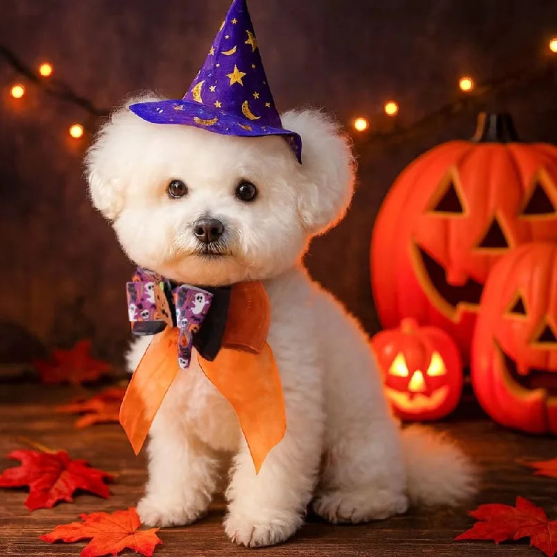 The Halloween Bow Tie – Adjustable Collar Bow with Bell