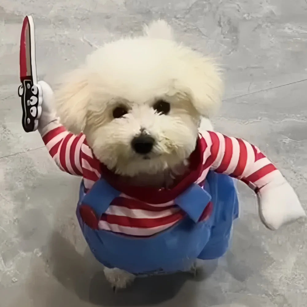 The Halloween Dog Pullover – Funny Dress-Up Costume