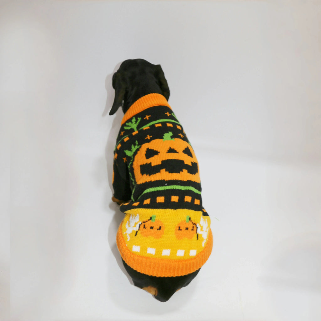 The Pumpkin Patch Sweater – Warm Halloween Jumper for Small Dogs