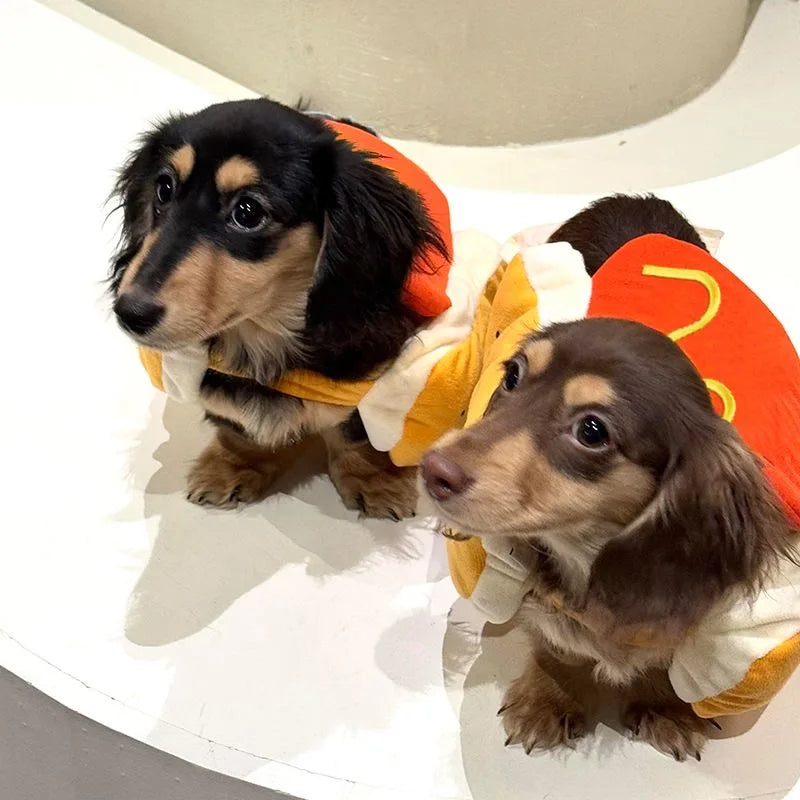 The Hot Dog Costume – Funny Halloween Outfit for Dachshunds