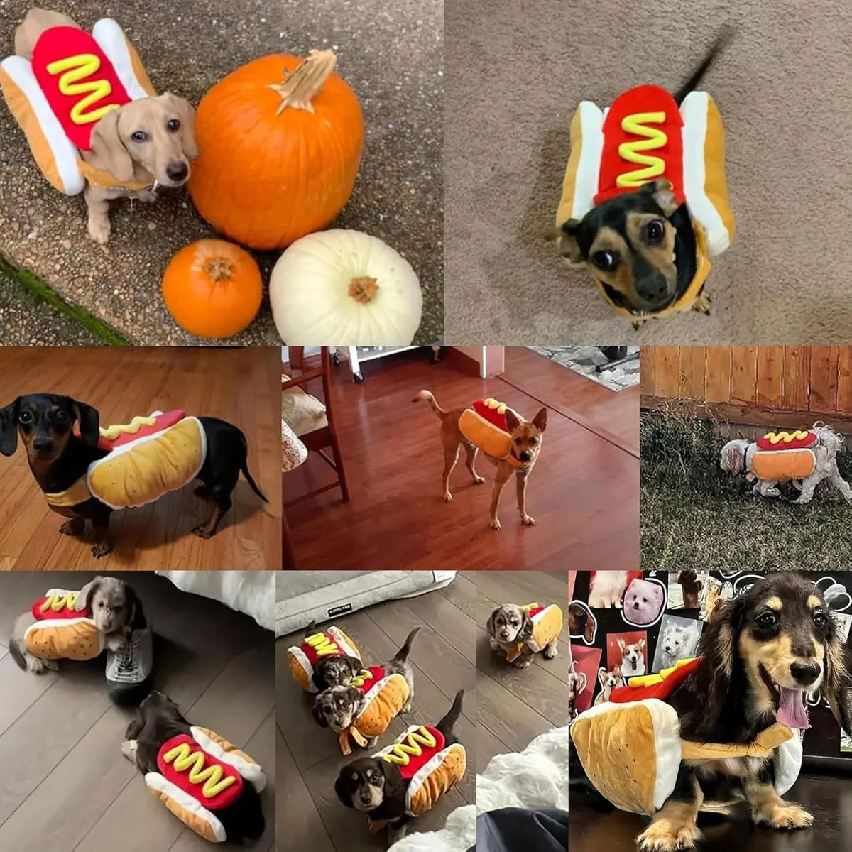 The Hot Dog Costume – Funny Halloween Outfit for Dachshunds